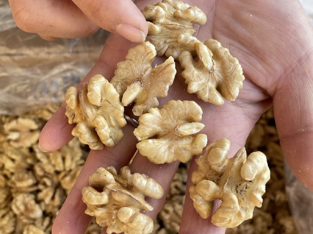 The advantages of walnut kernels