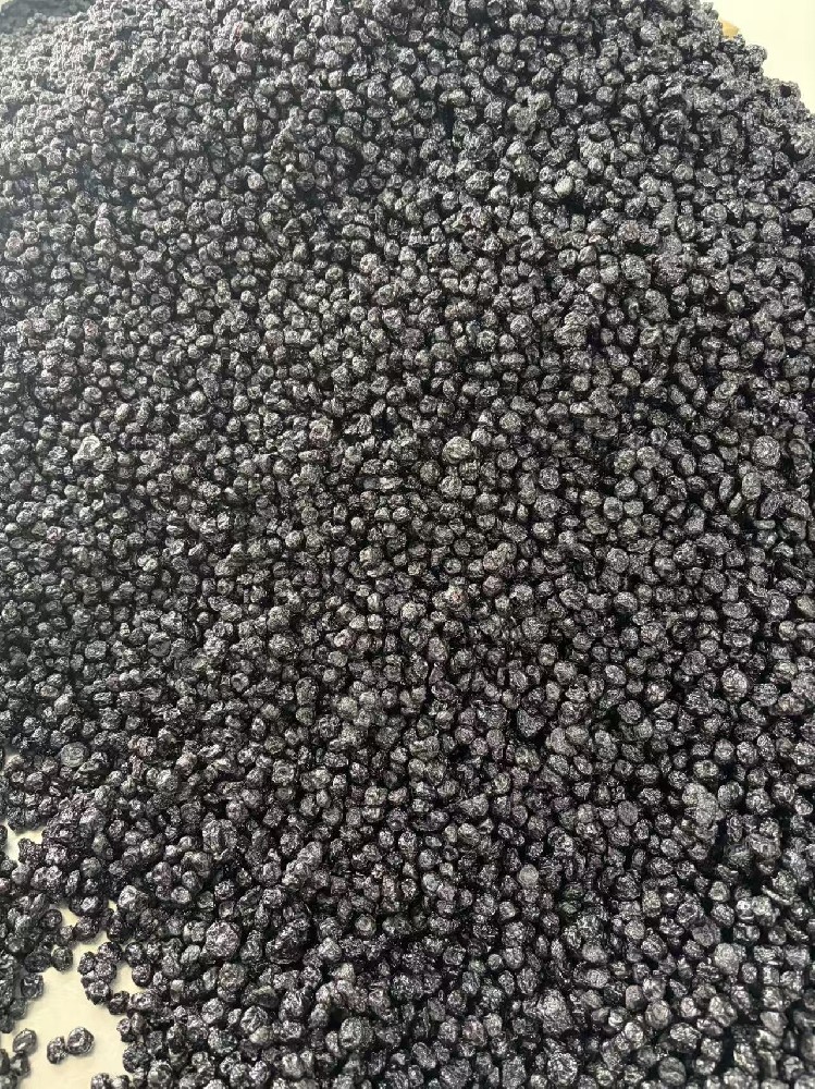 Are dried blueberries nutritious